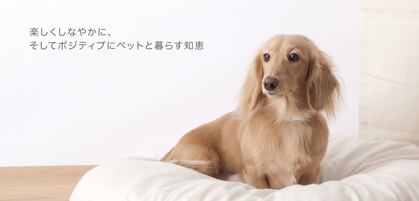 楽しくしなやかに、そしてポジティブにペットと暮らす知恵