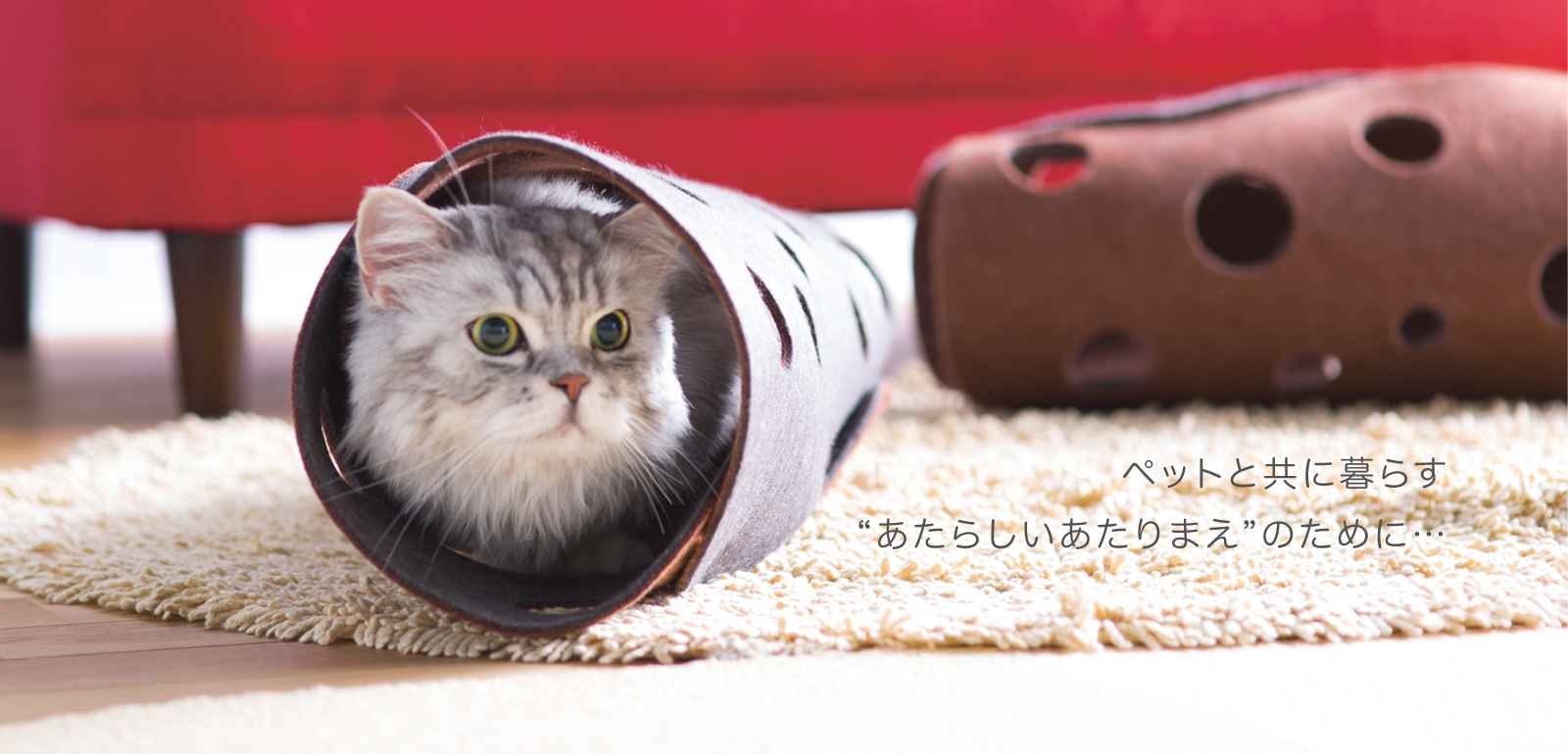 ペットと共に暮らす“あたらしいあたりまえ”のために…