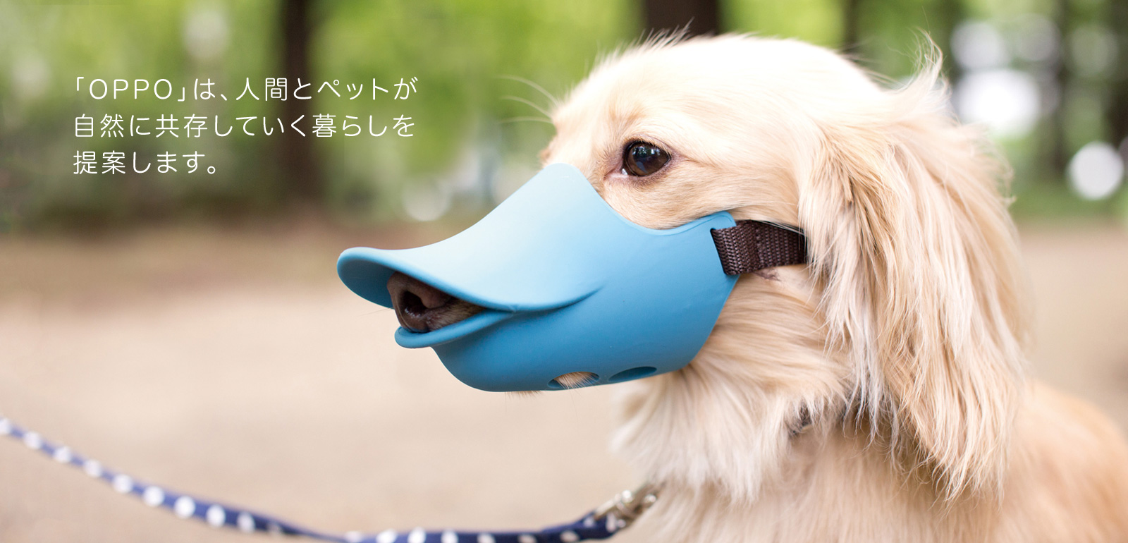 「OPPO」は、人間とペットが自然に共存していく暮らしを提案します。