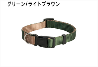 グリーン/ライトブラウン