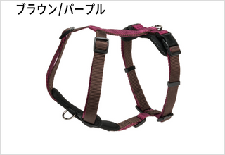 ブラウン/パープル