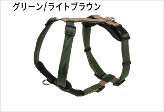 グリーン/ライトブラウン