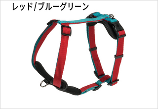レッド/ブルーグリーン