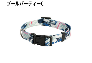 プールパーティーC