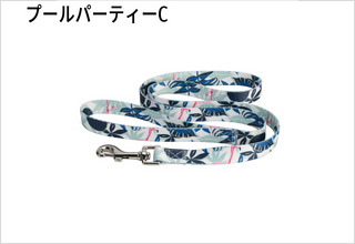 プールパーティーC